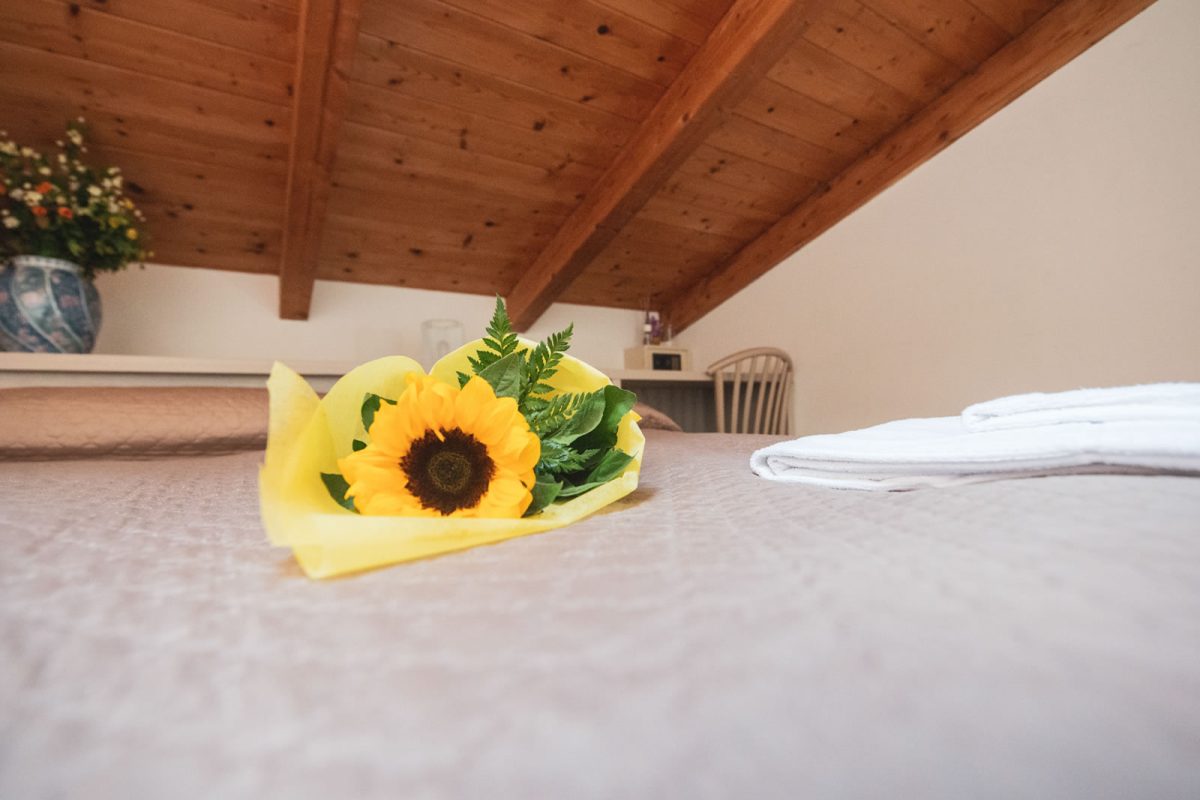 camera_mansardata_02